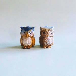 Ceramic Owl Salt & Pepper Set